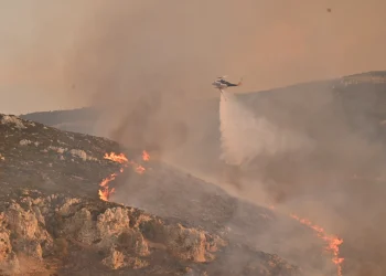 Πυρκαγιές σε Βαθύκοιλο και Κω με εναέρια μέσα